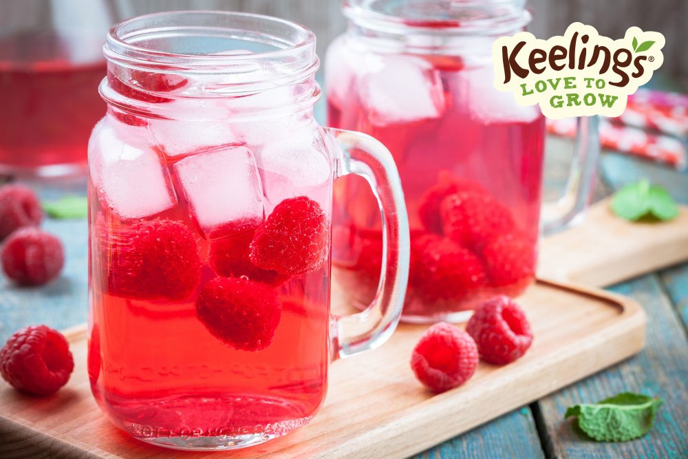Quench Apple Raspberry 4 Thirst Quenching Recipes | ILoveCooking